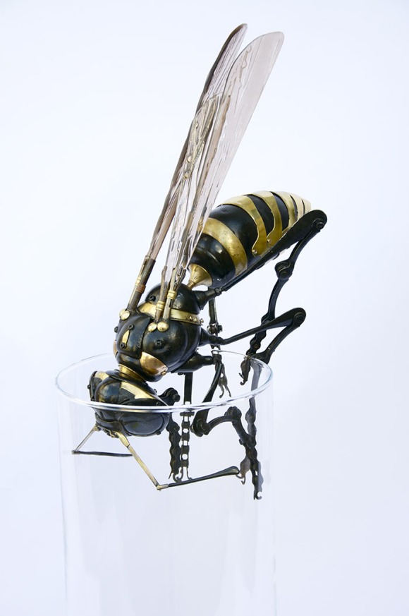wasp[1]